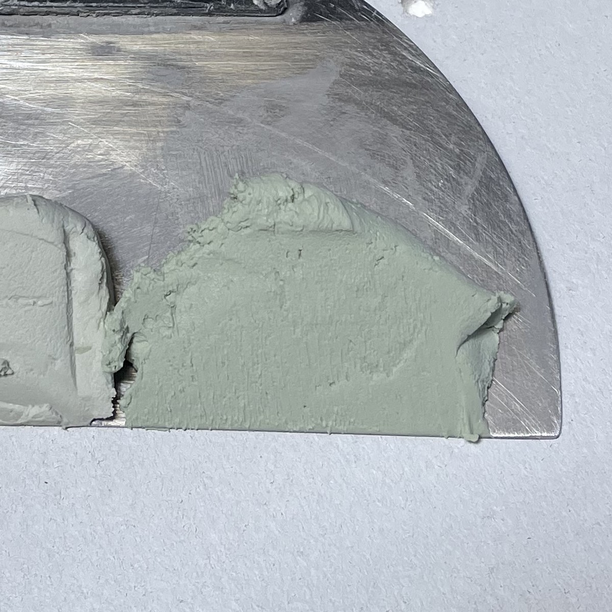 Close-up of Fussy Filla, showing its light green colour